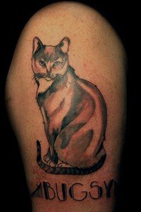 tatouage chat